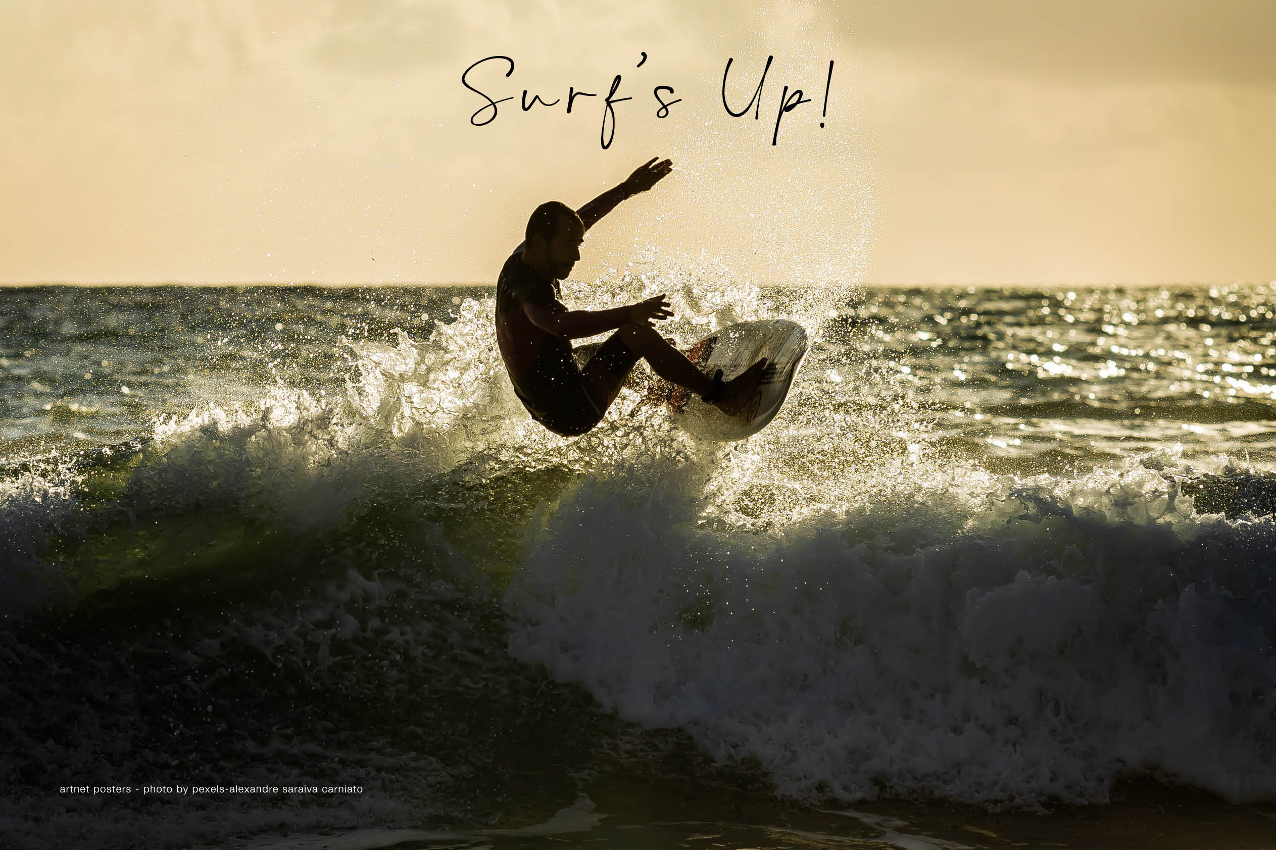 Surf's Up poster