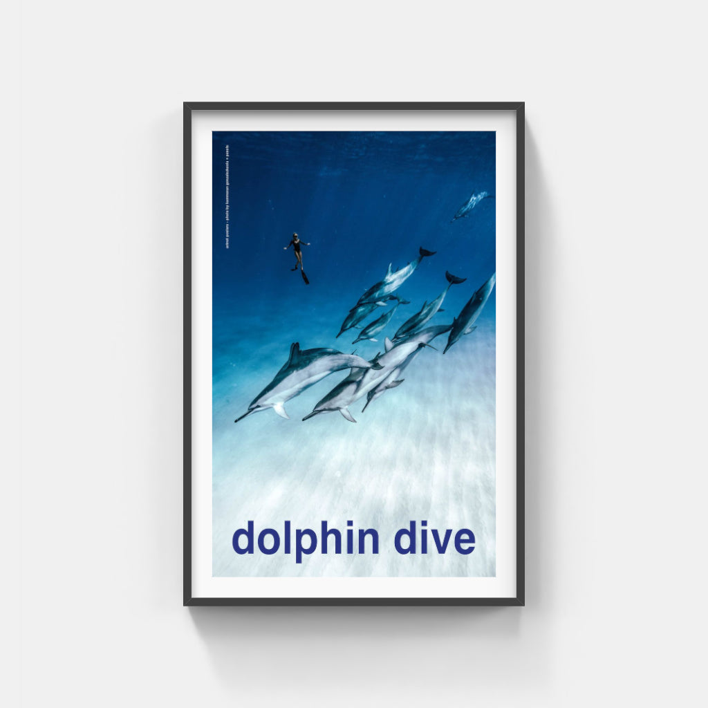 Scuba - Dolphin Dive poster