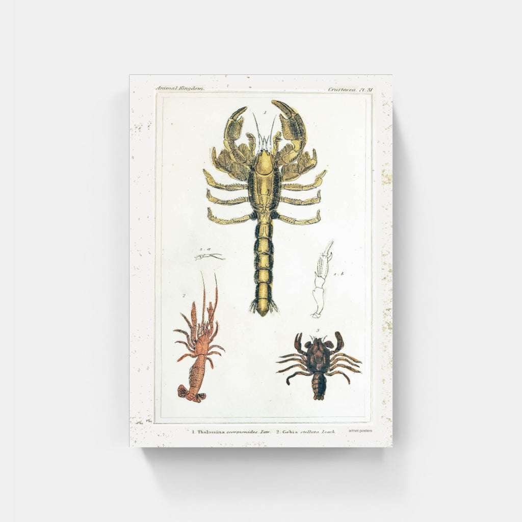 Vintage Crustaceans retro poster