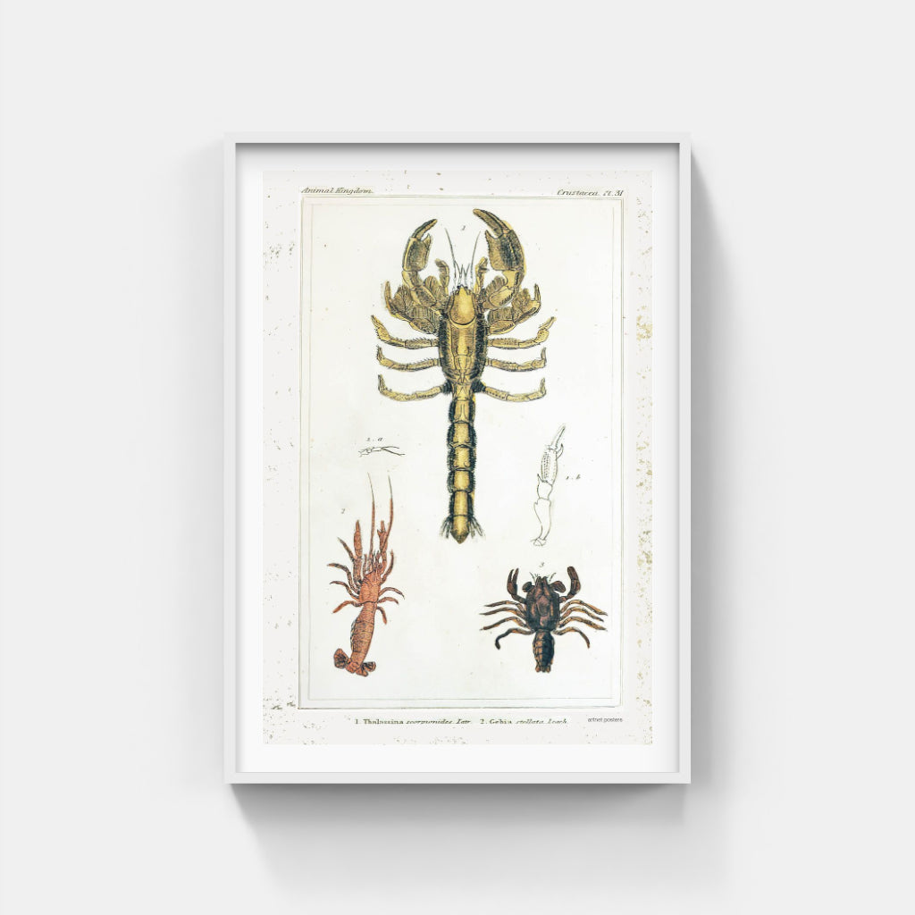 Vintage Crustaceans retro poster