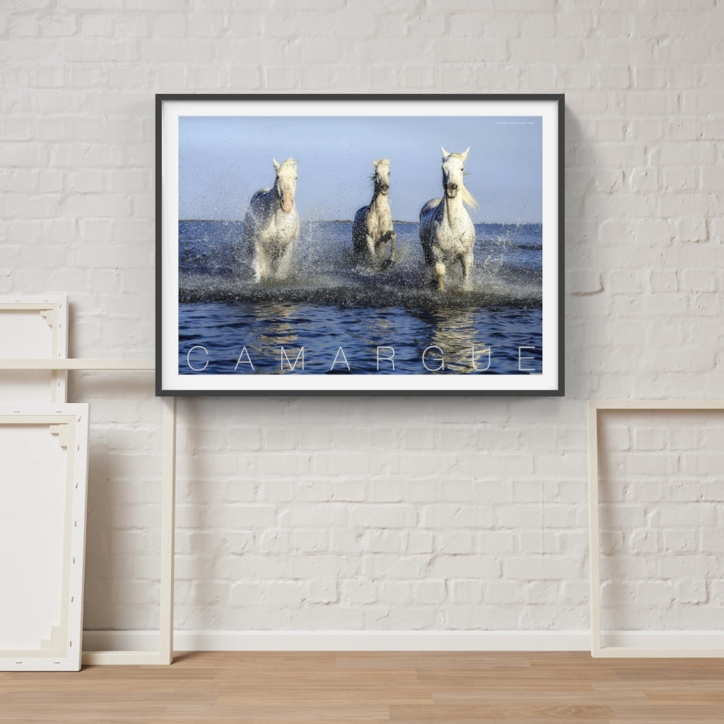 Camargue Horses poster