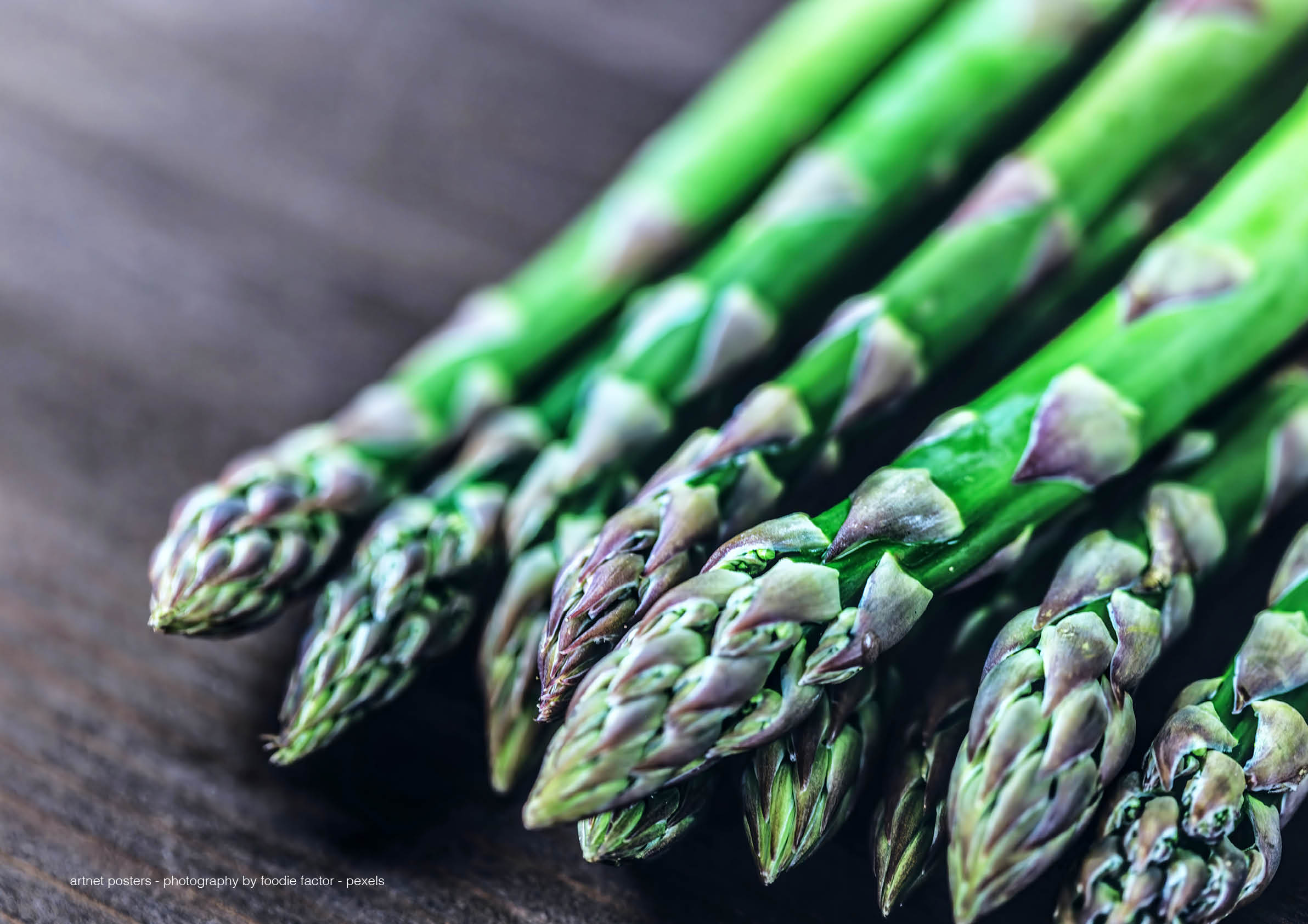 Asparagus - kitchen poster