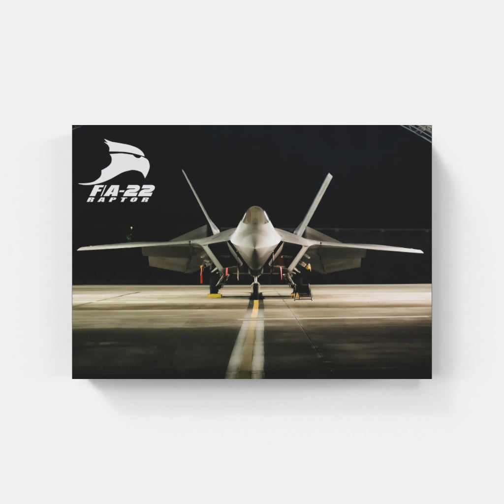 F22 Raptor poster