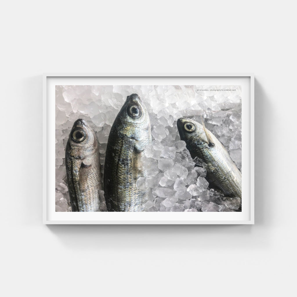 Fresh Fish poster