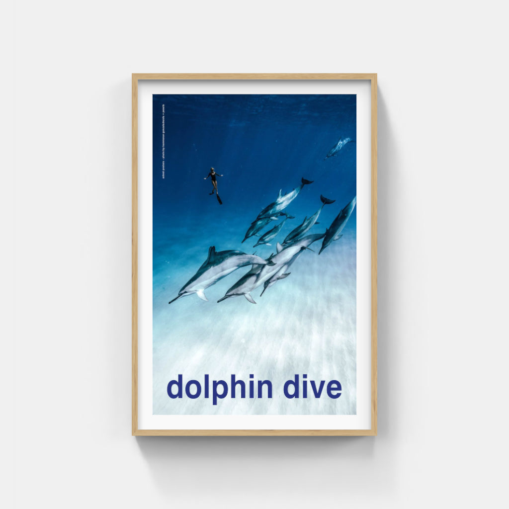 Scuba - Dolphin Dive poster