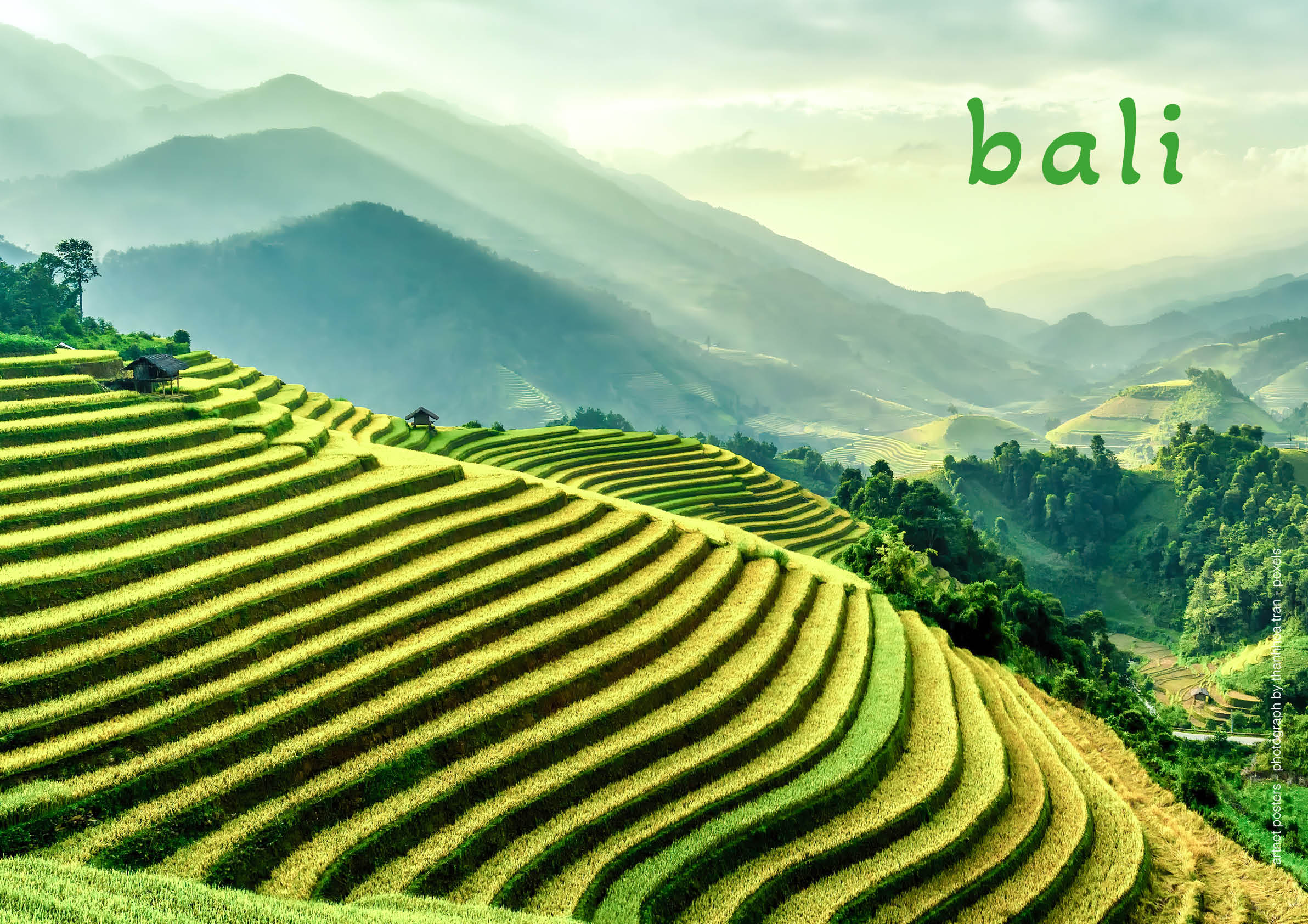 Bali Rice Terraces poster