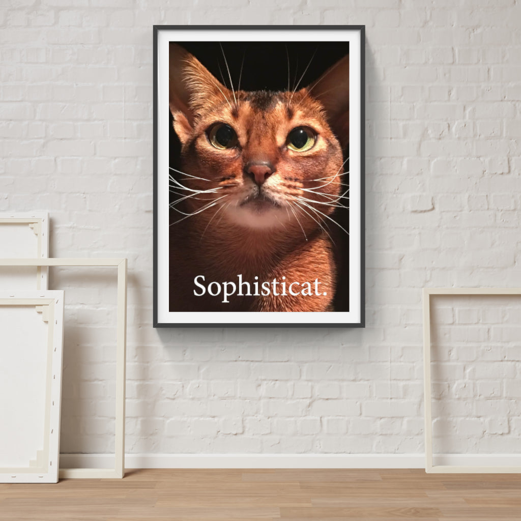 Sophisticat poster