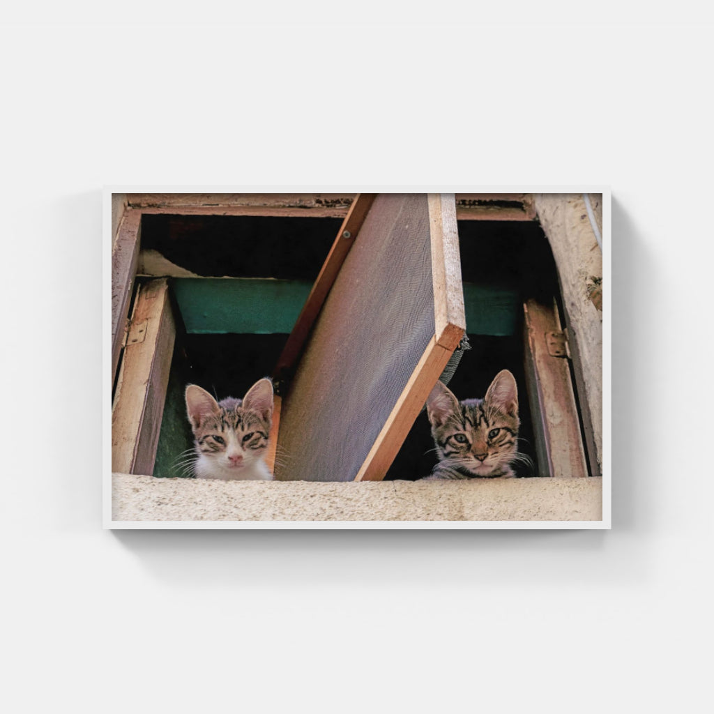 Kittens in a Window poster