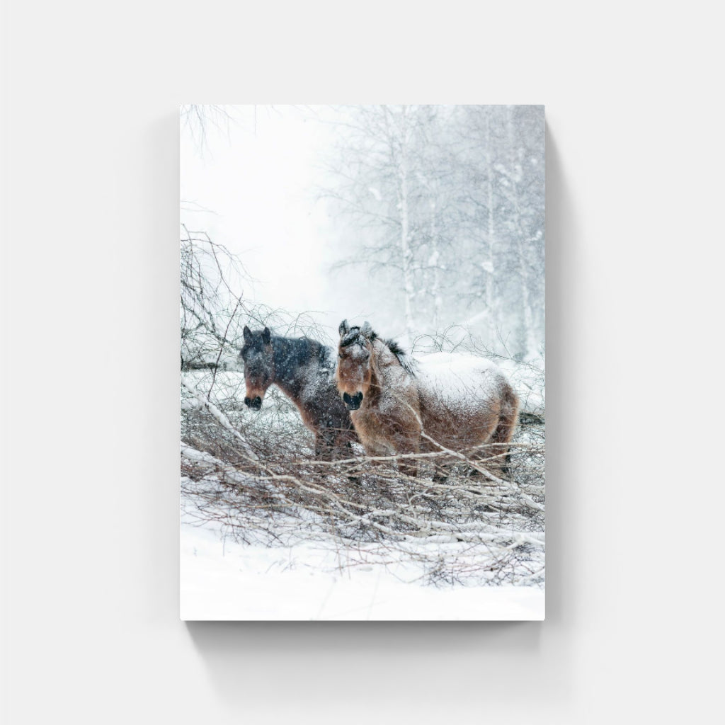 Snow Horses poster