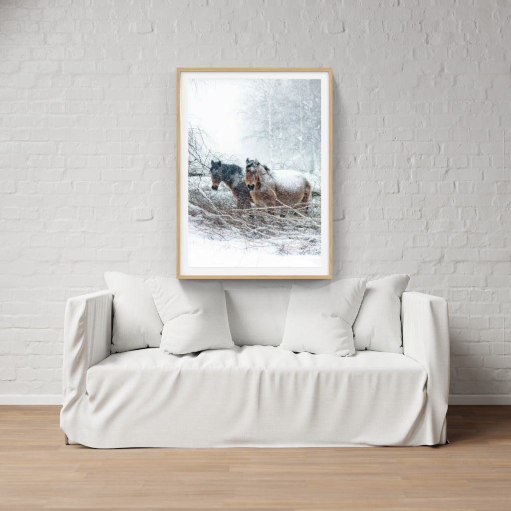 Snow Horses poster