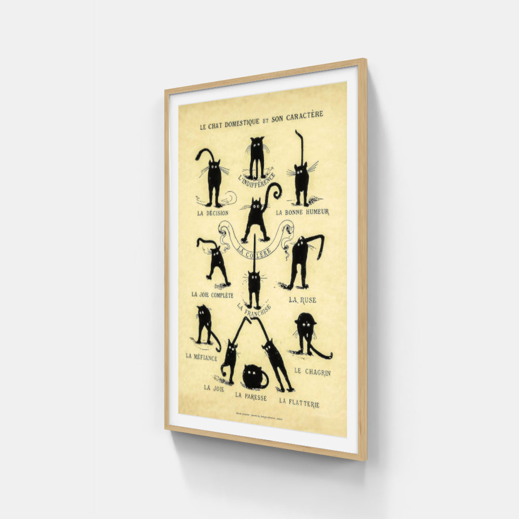 Chat Noir Domestique poster