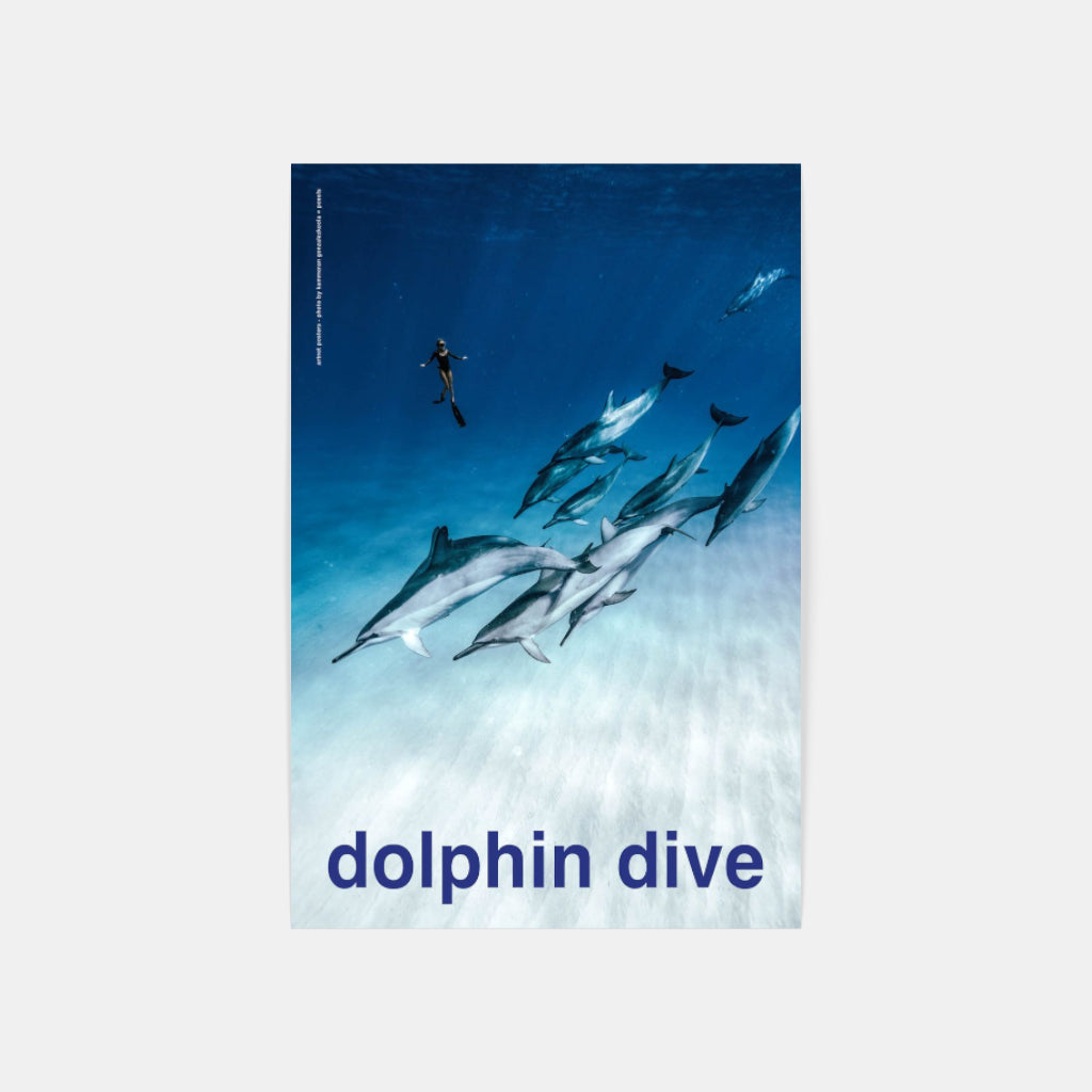 Scuba - Dolphin Dive poster