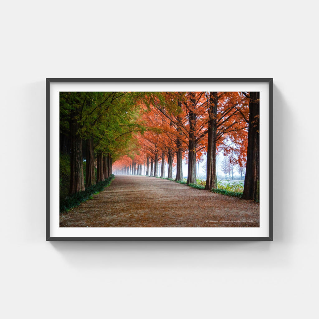 Autumn Trees - poster