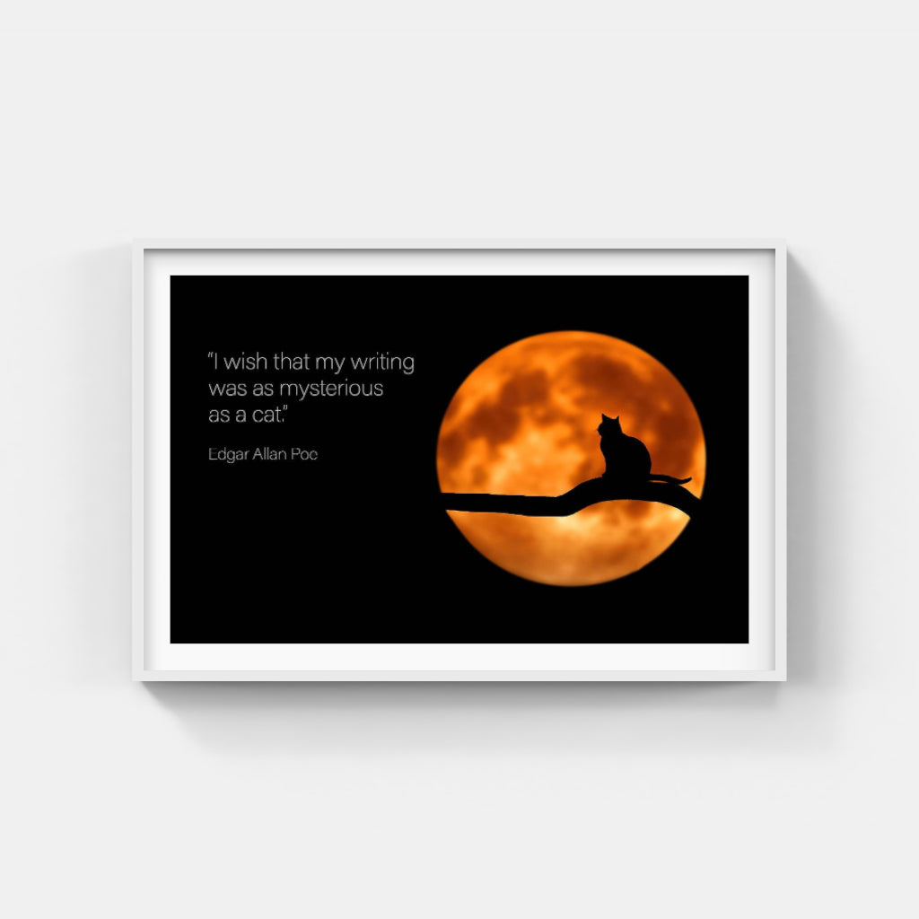 Moon Cat poster