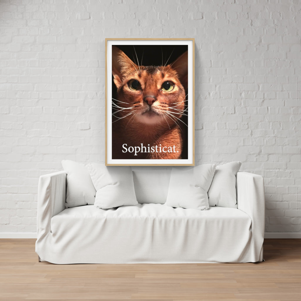 Sophisticat poster