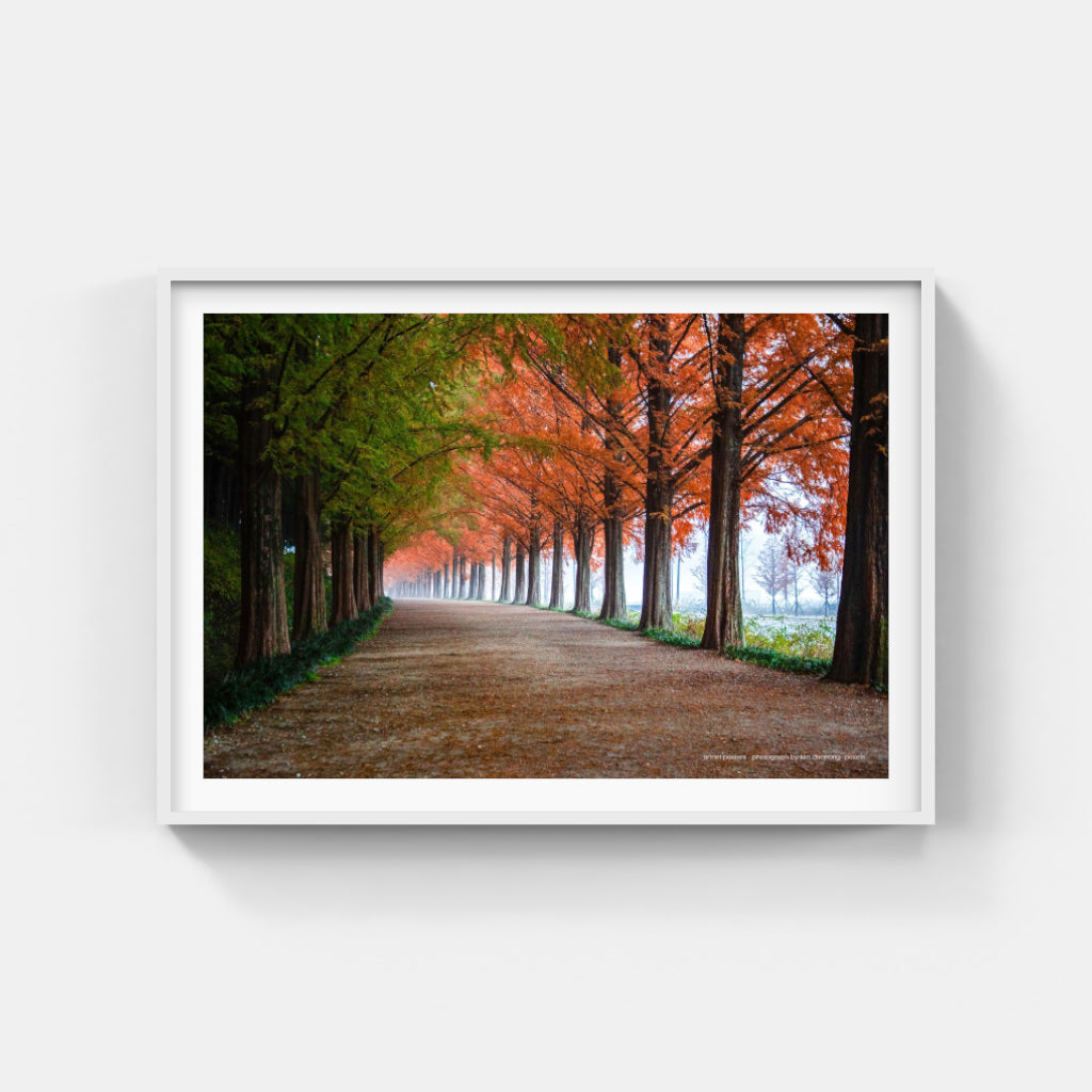 Autumn Trees - poster