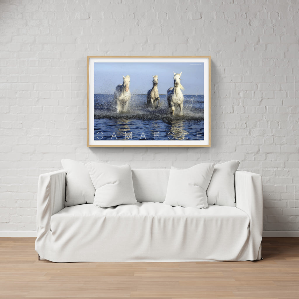 Camargue Horses poster