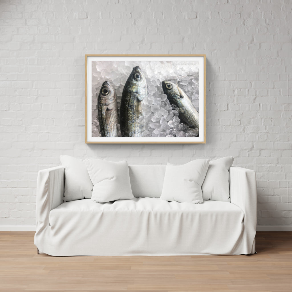 Fresh Fish poster