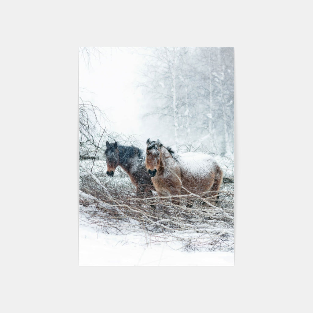 Snow Horses poster