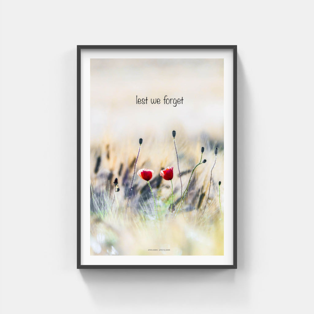 Lest We Forget poster