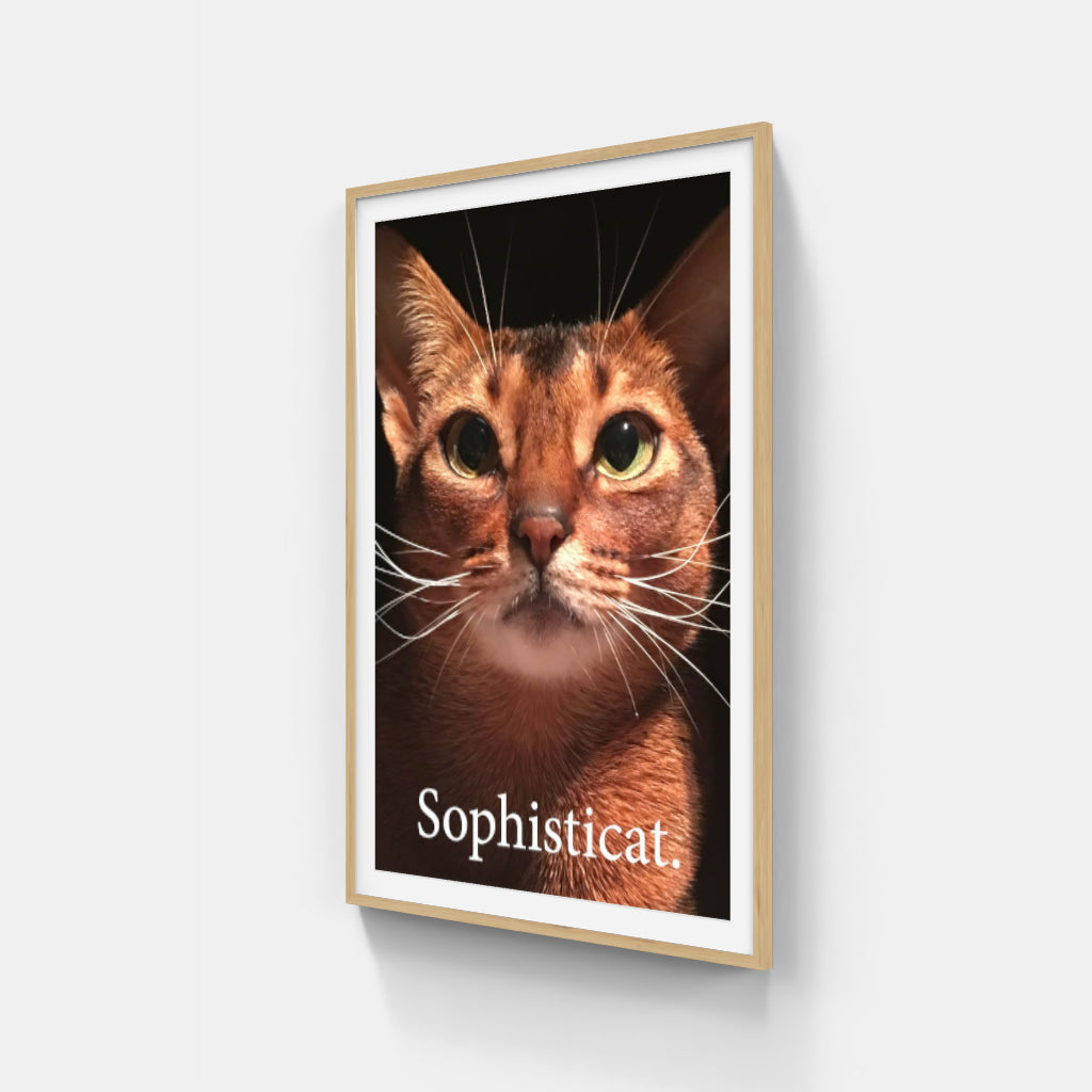 Sophisticat poster