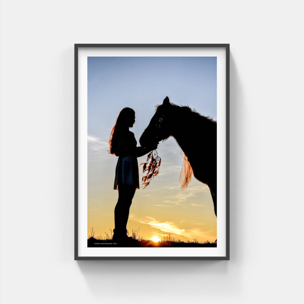 Horse Silhouette poster