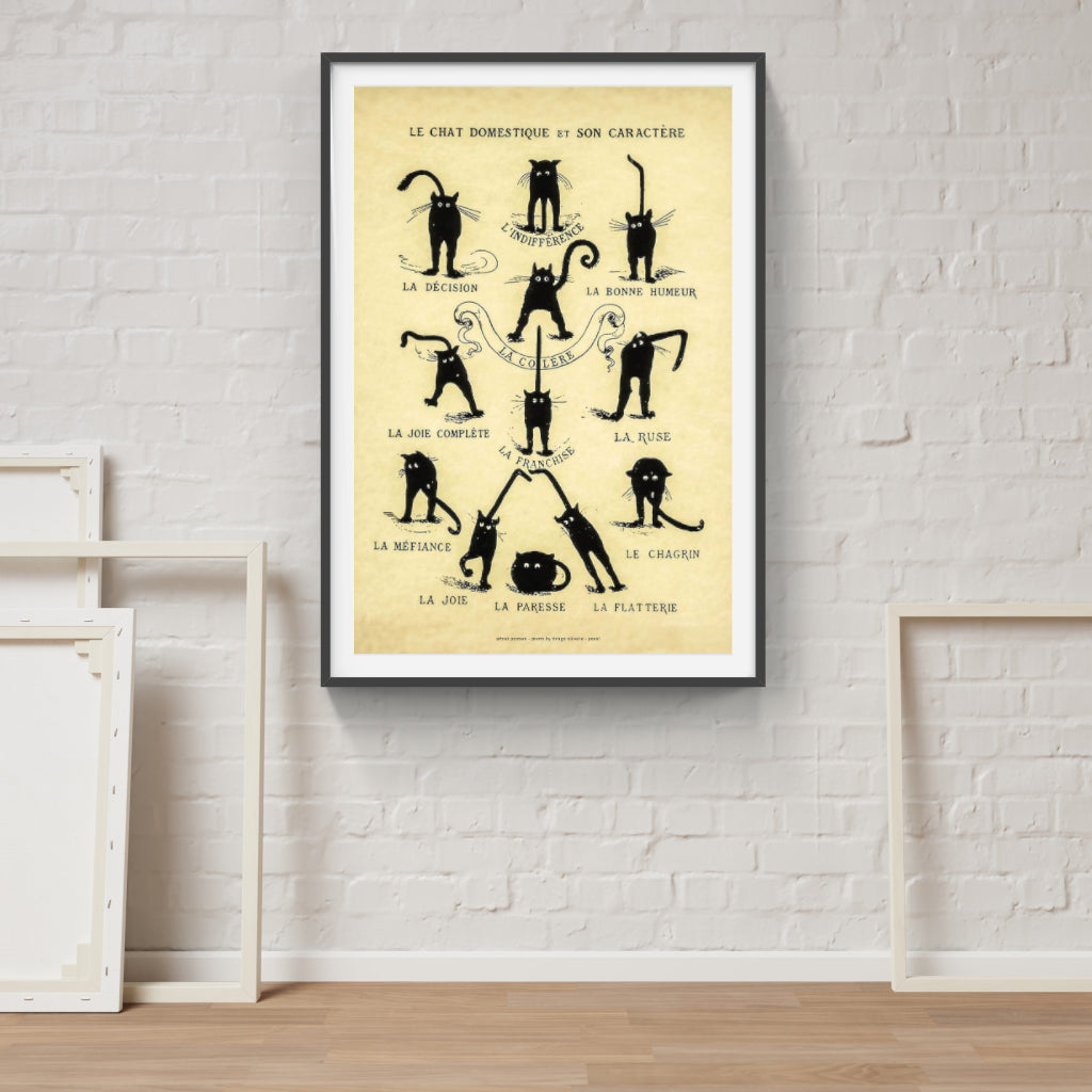 Chat Noir Domestique poster