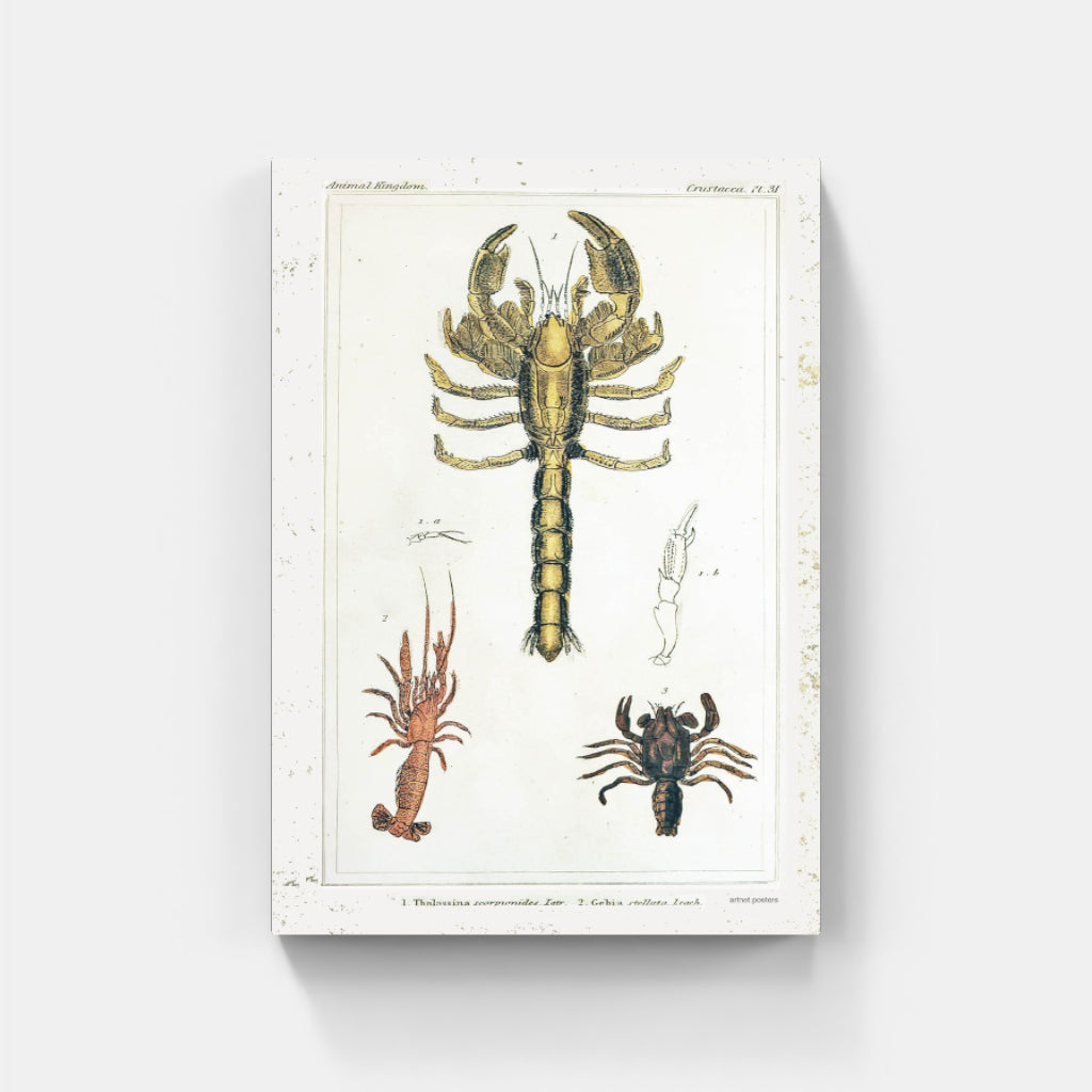 Vintage Crustaceans retro poster