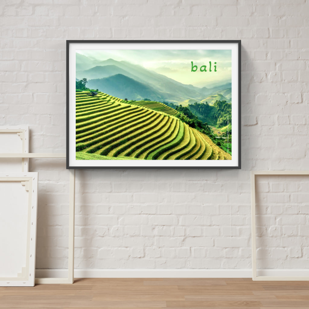 Bali Rice Terraces poster