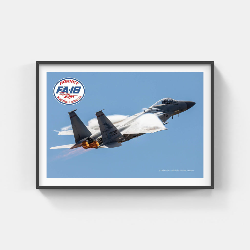 F18 Hornet poster