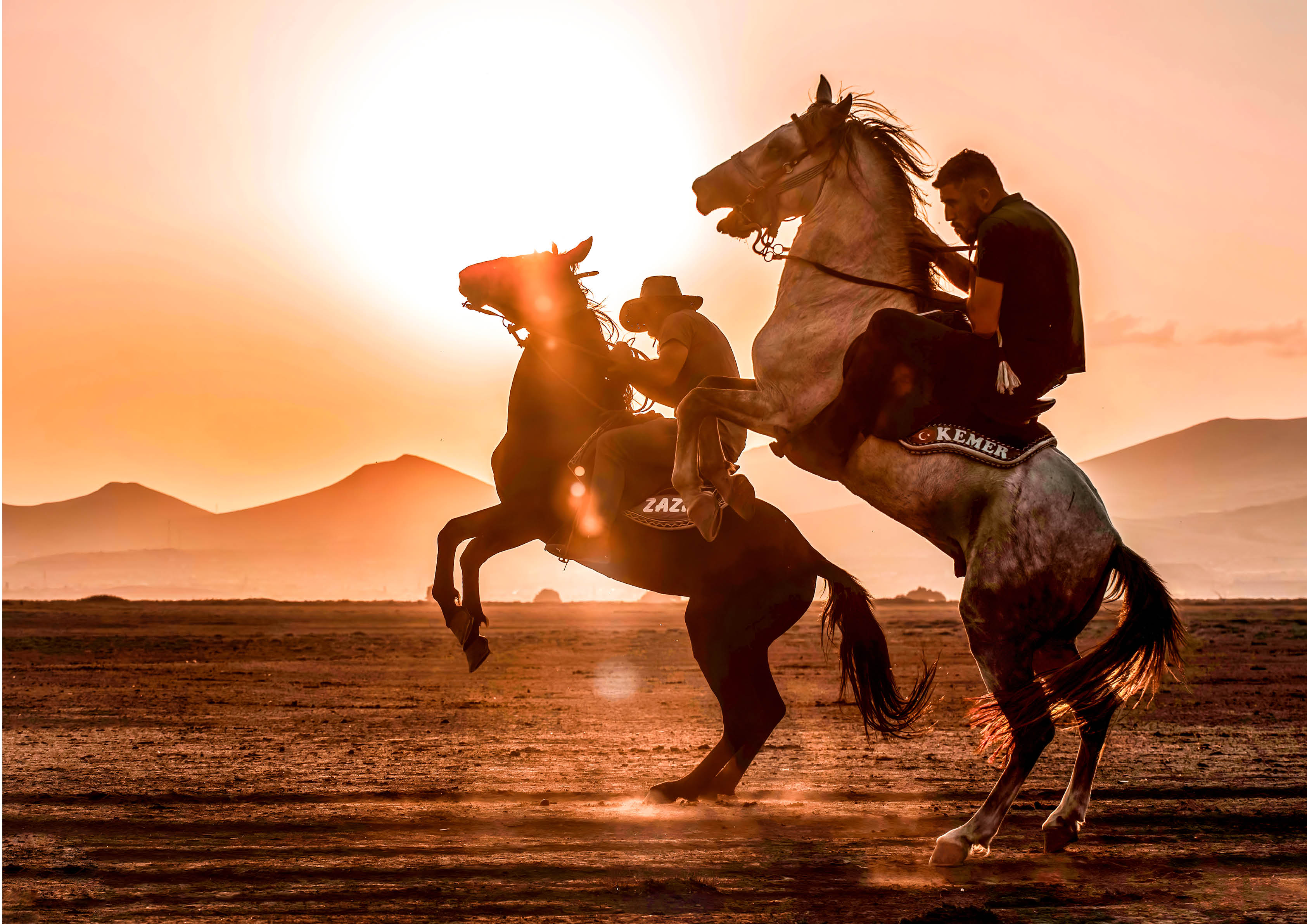 Double Rodeo horse poster