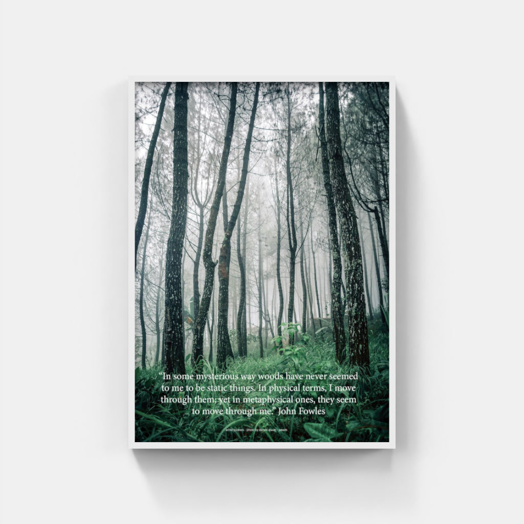 Mysterious Woods poster