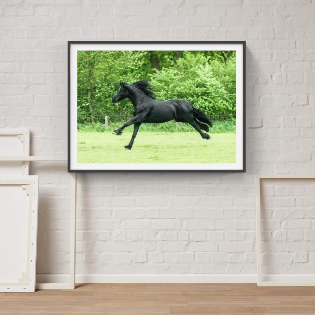 Running Wild horse poster