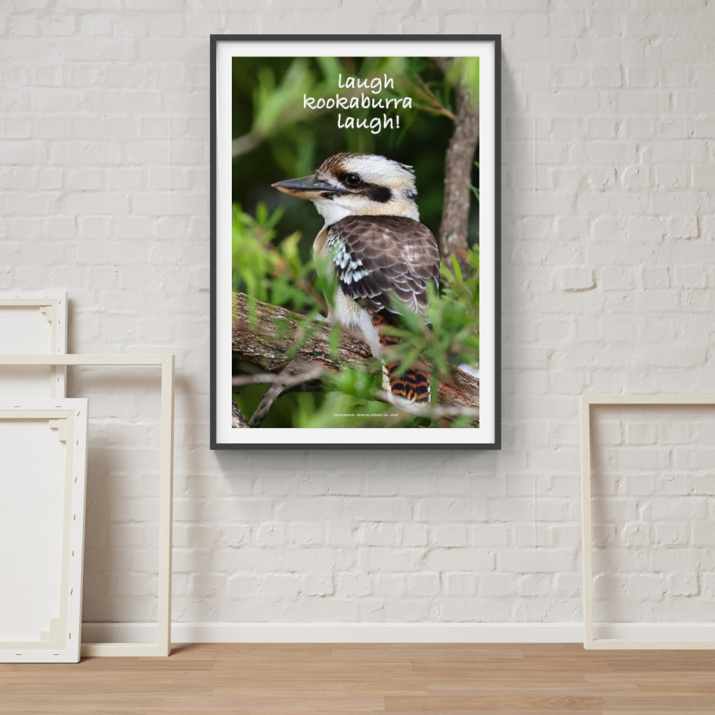 Laugh Kookaburra Laugh poster