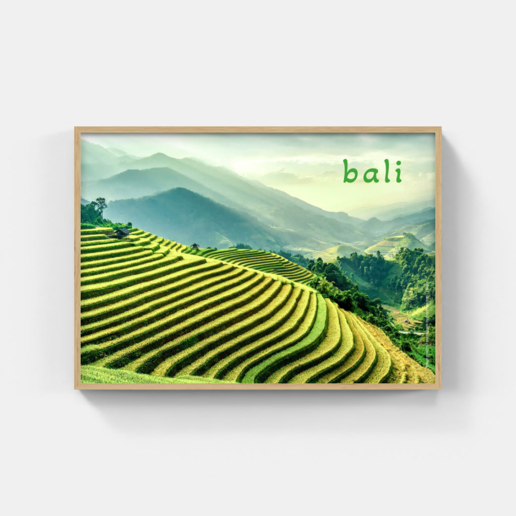 Bali Rice Terraces poster