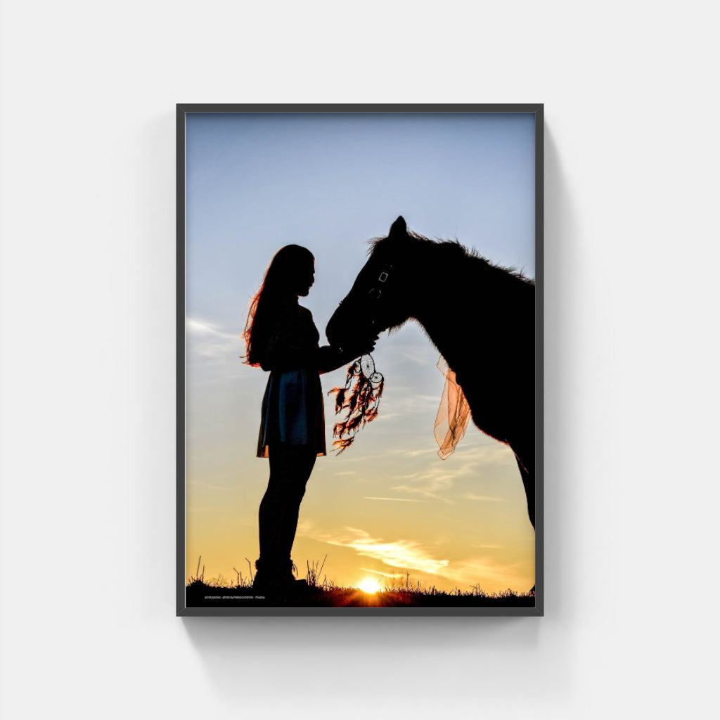 Horse Silhouette poster