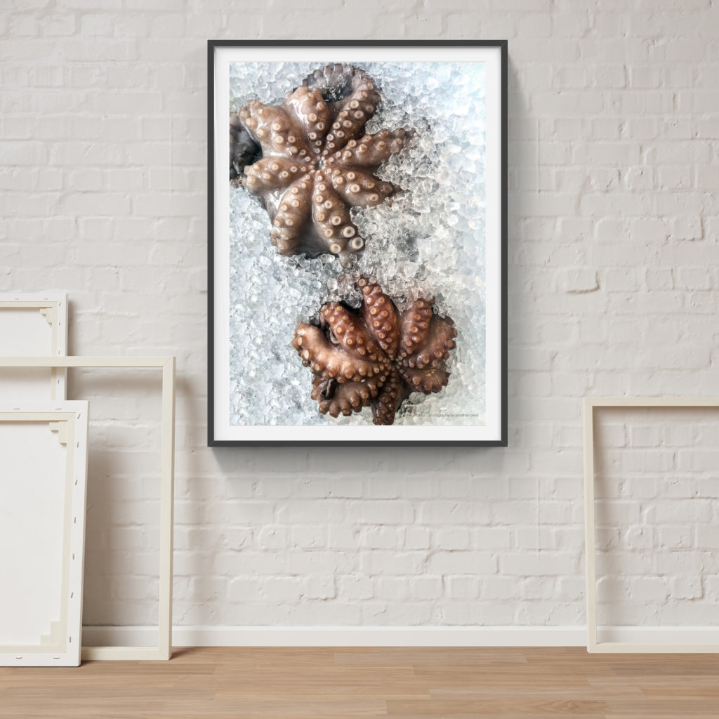 Fresh Octopus poster