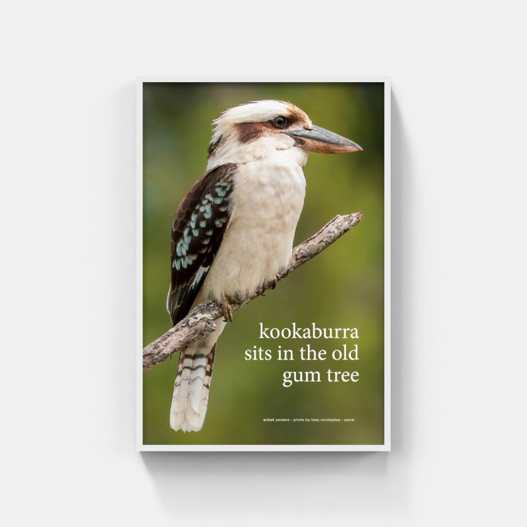 Kookaburra sits in the Old Gum Tree poster