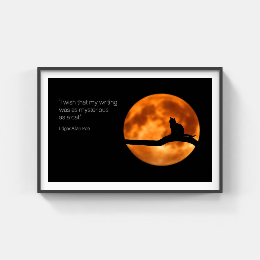 Moon Cat poster