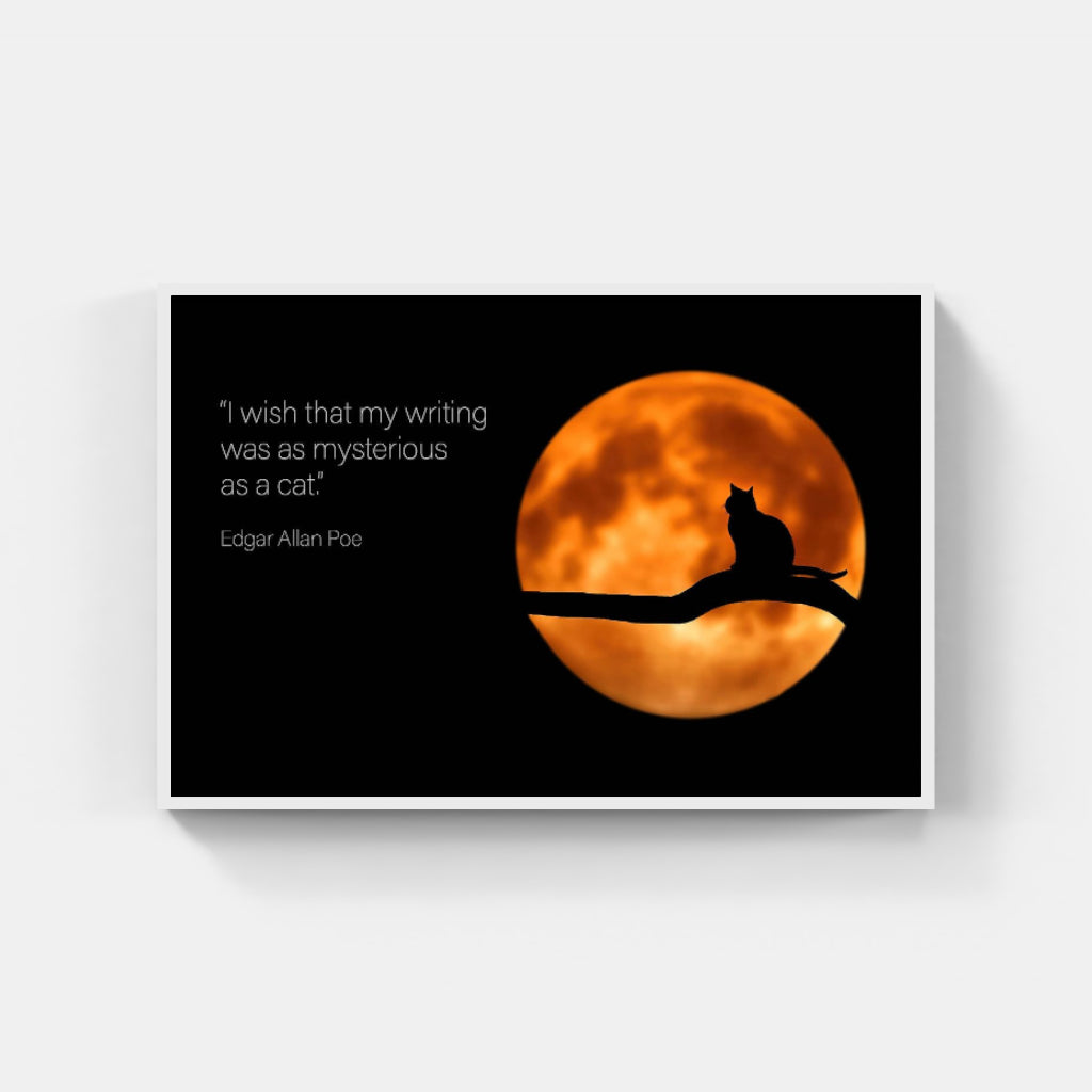 Moon Cat poster