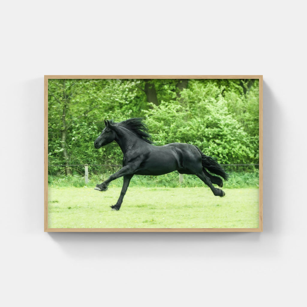 Running Wild horse poster