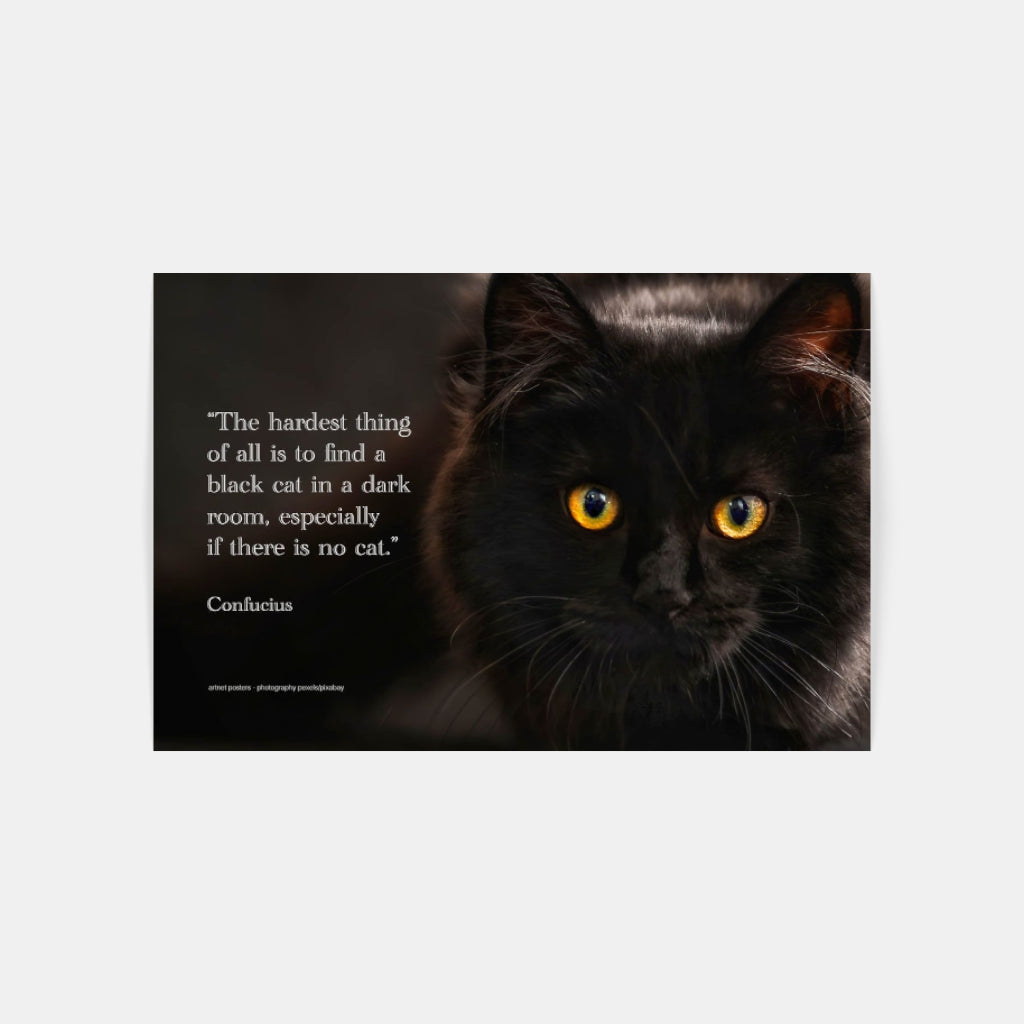 Confucian Cat poster