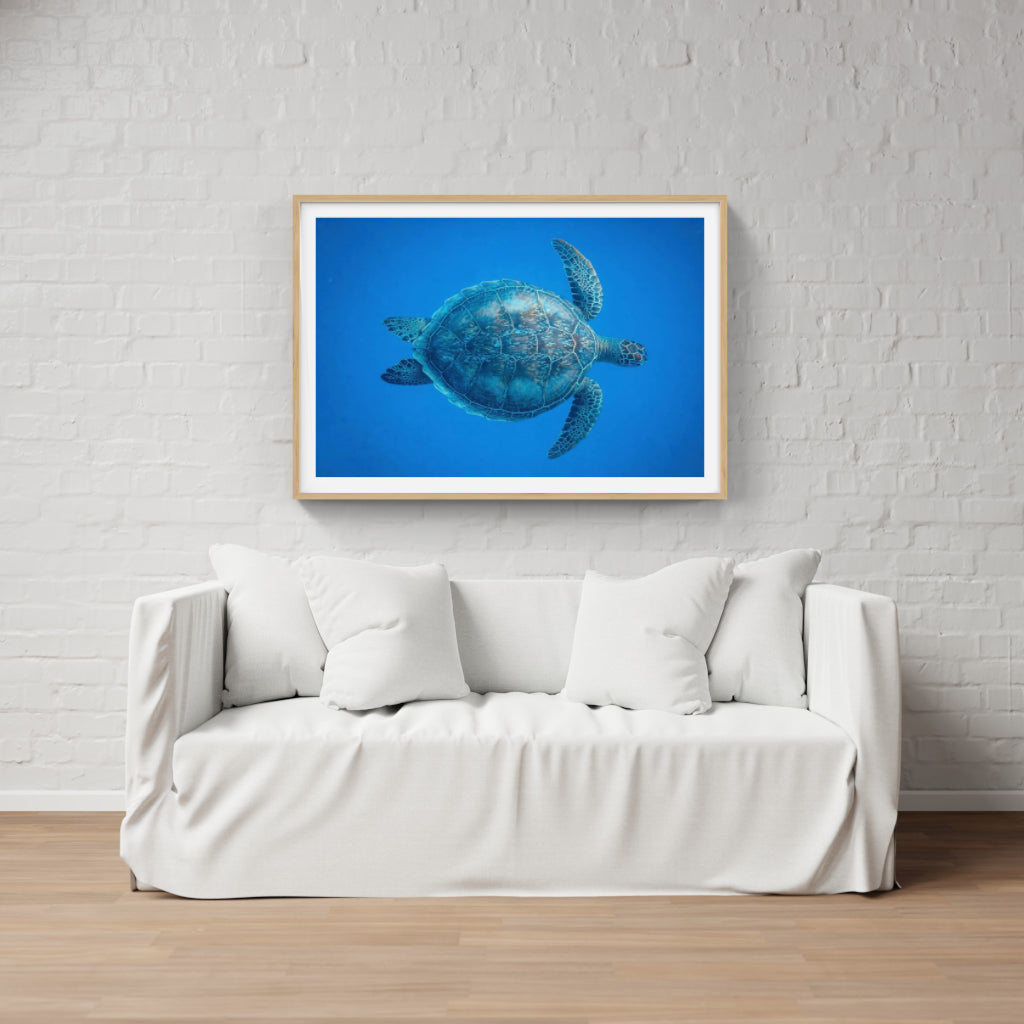 Turtle poster