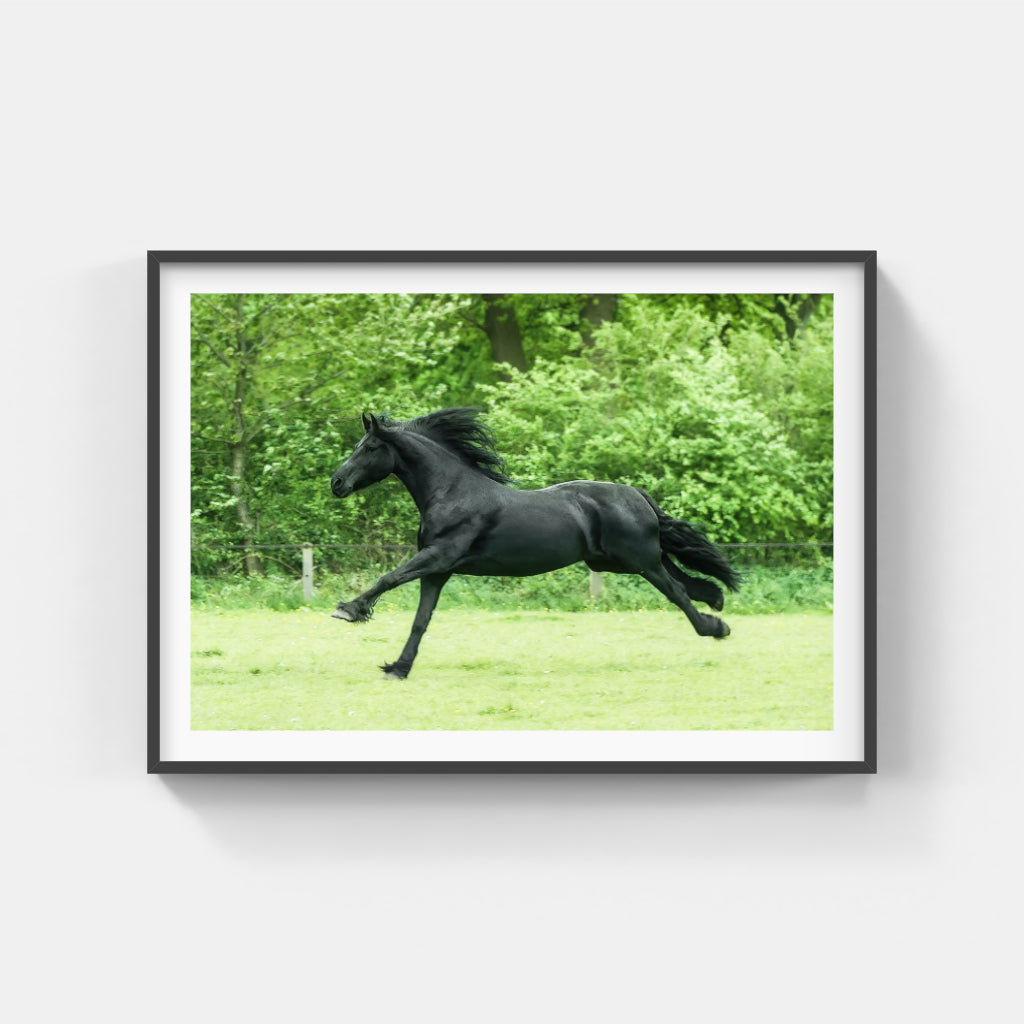 Running Wild horse poster