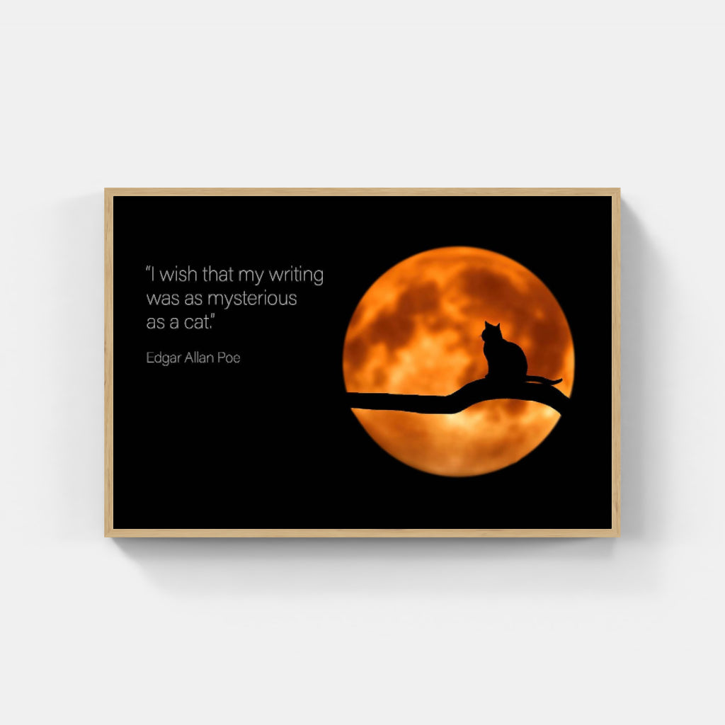 Moon Cat poster