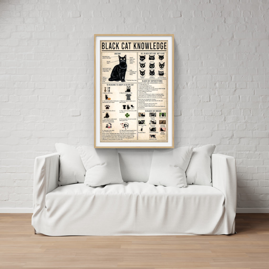 Black Cat Knowledge poster