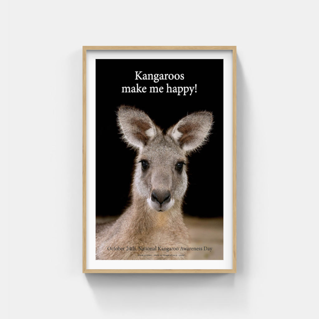 Kangaroos Make me Happy poster