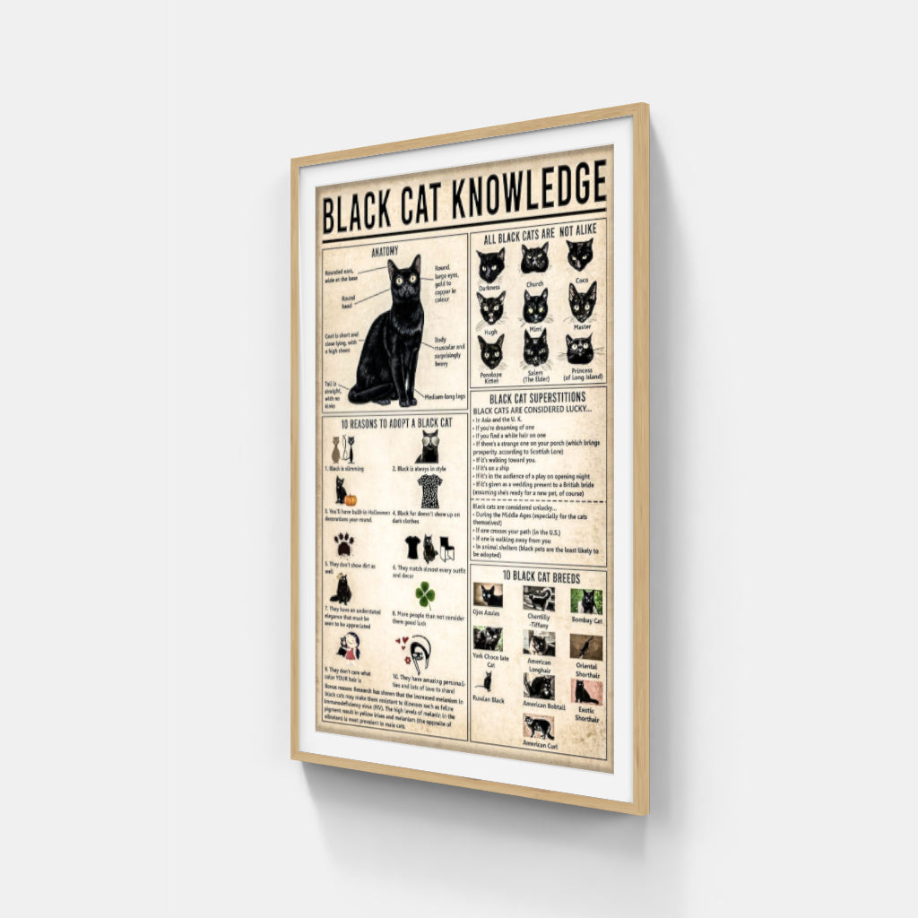 Black Cat Knowledge poster