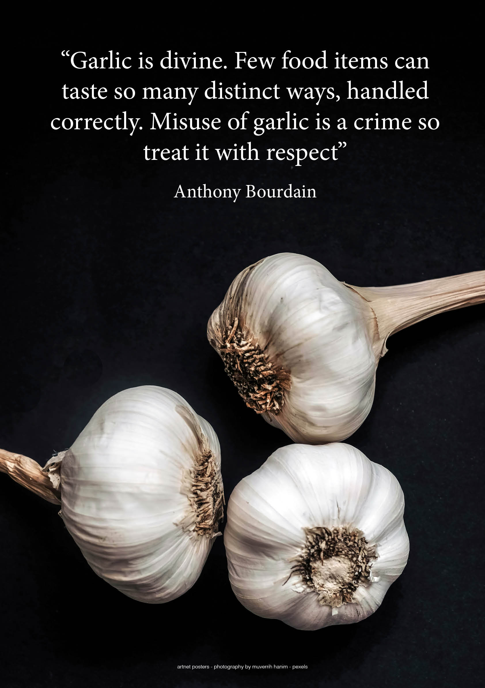 Garlic poster