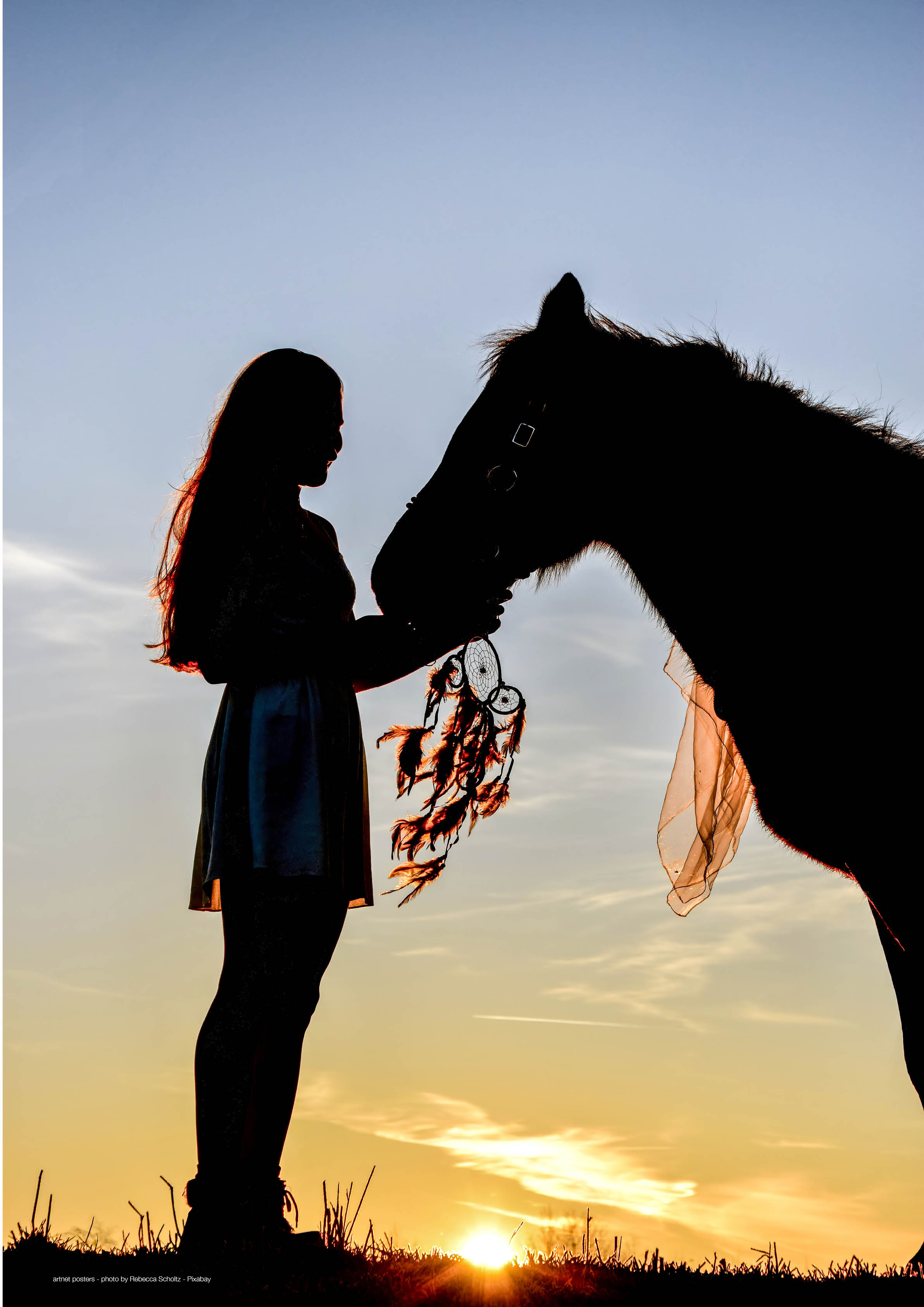 Horse Silhouette poster